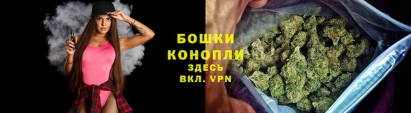 сатива Белоозёрский