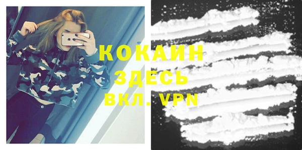 сатива Белоозёрский