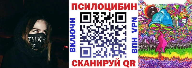 Псилоцибиновые грибы Cubensis  Ершов 