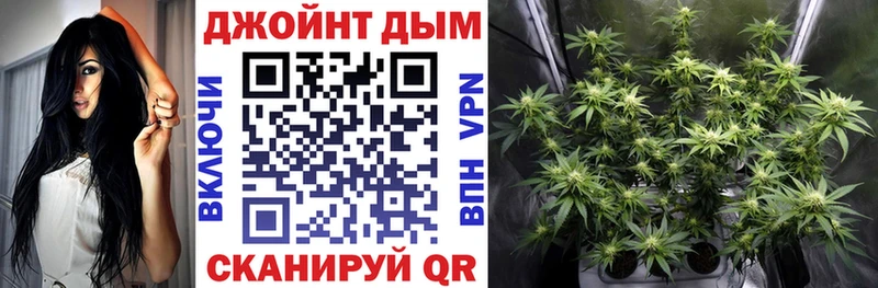 МАРИХУАНА индика Ершов